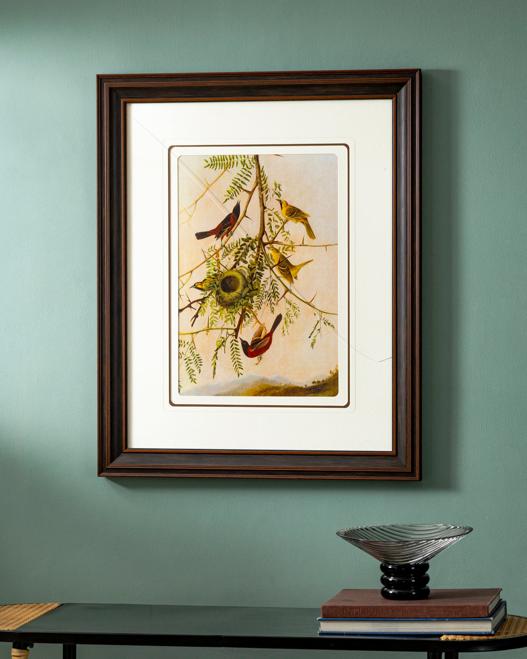 Orchard Oriole Bird Print "24x30" Inches