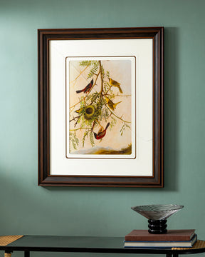 images