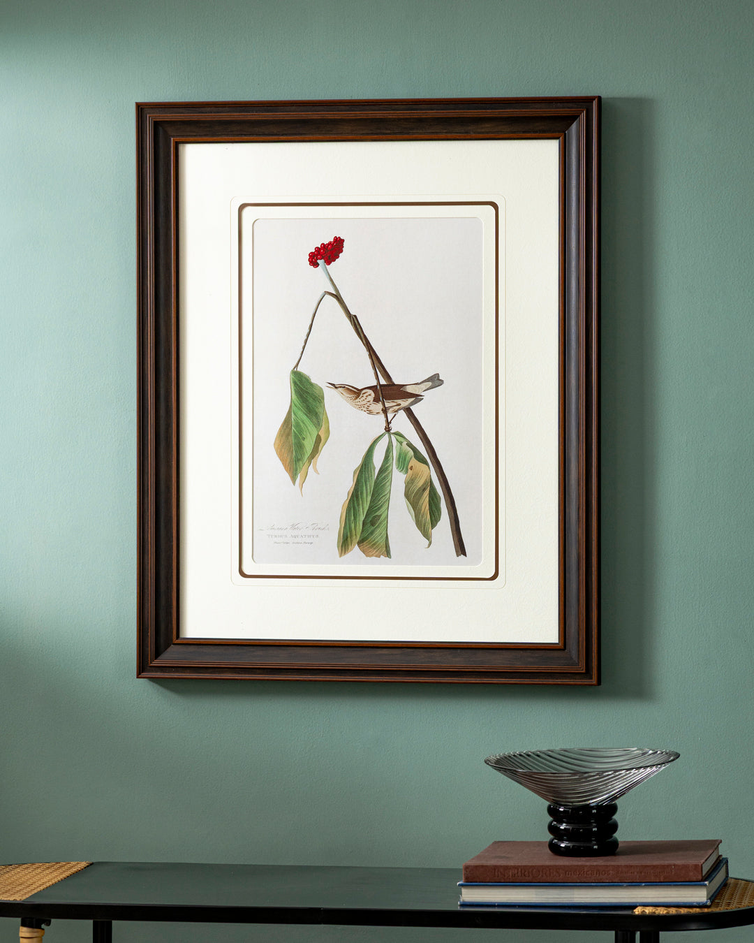 Louisiana Water Thrush Bird Print "24x30" Inches