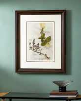 Basil And Thyme Print "24x30" Inches 