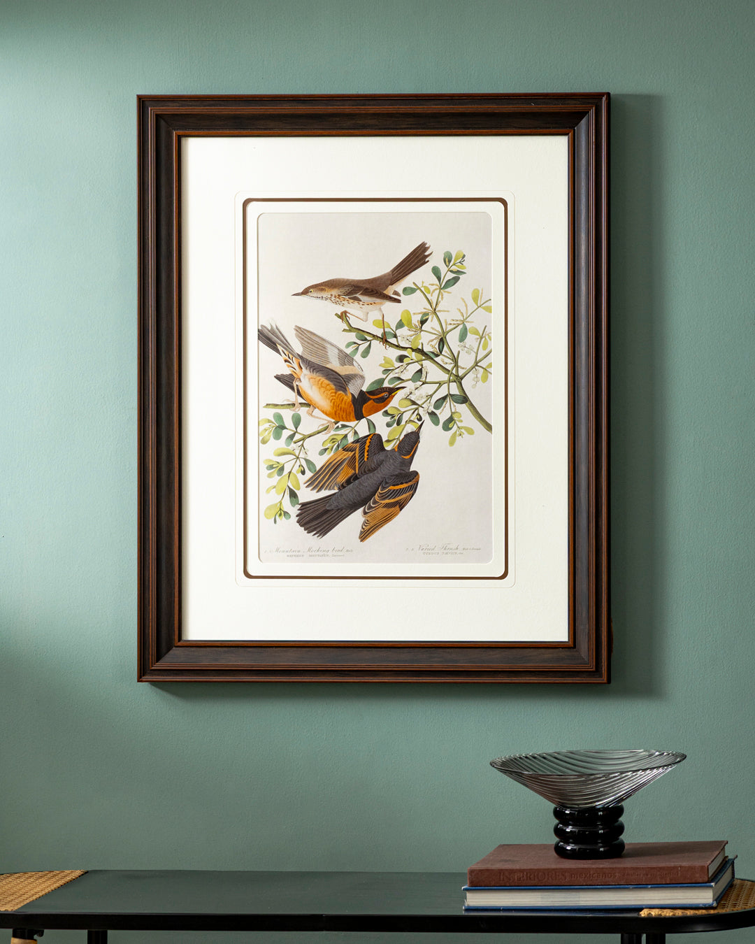 Mountain Mocking & Varied Thrush Bird Print "24x30" Inches 