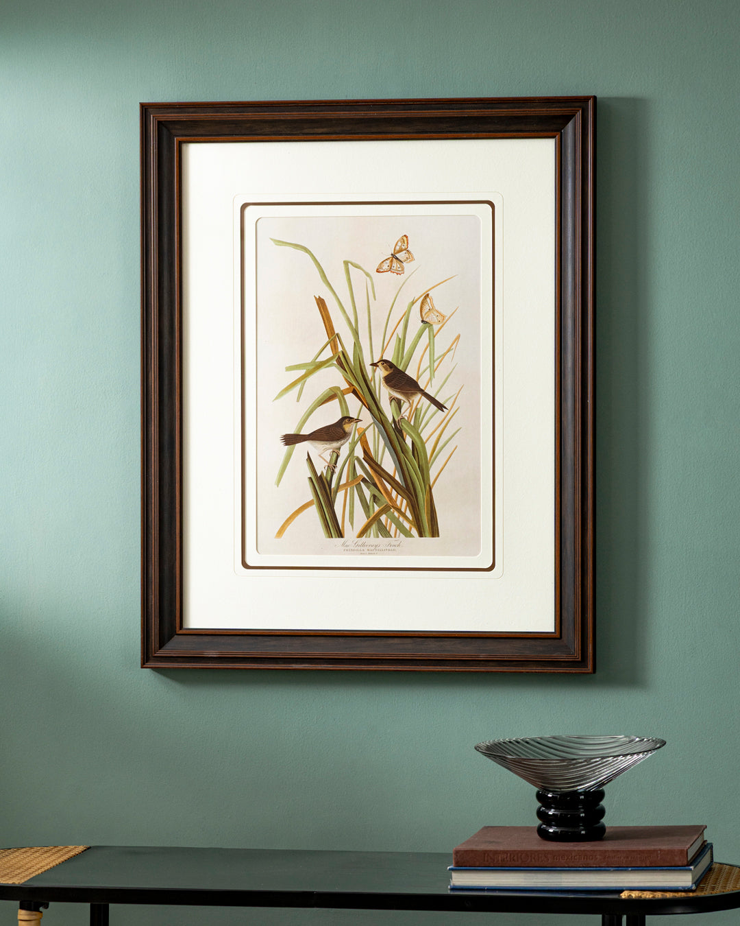 Macgillivray'S Finch Bird Print "24x30" Inches
