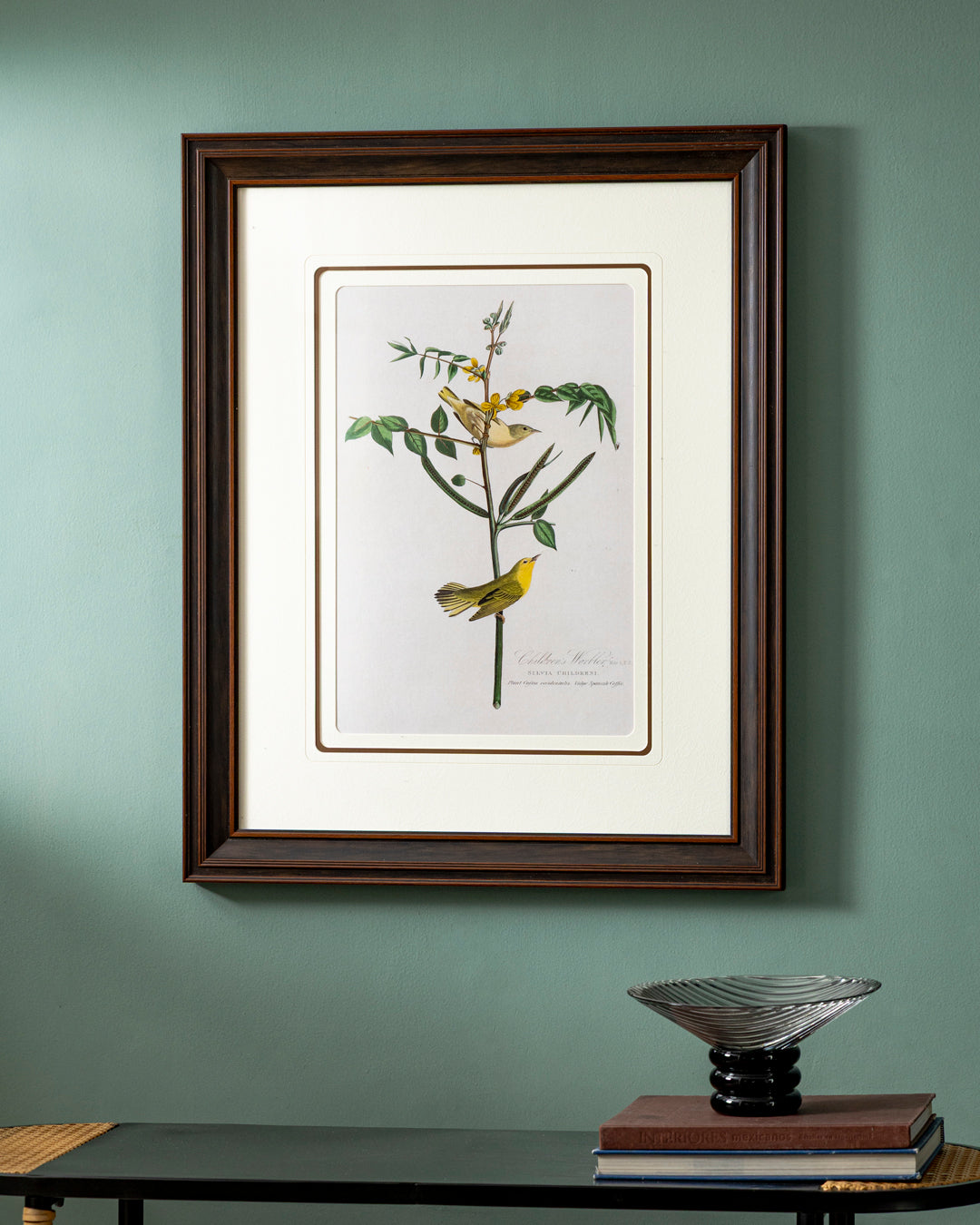 Children's Warbler Bird Print "24x30" Inches