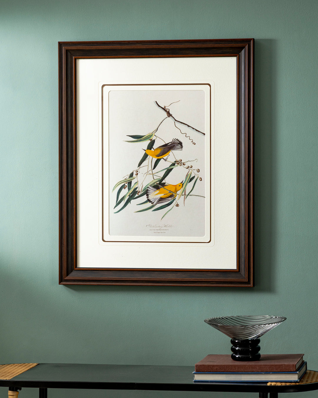 Prothonotary Warbler Bird Print "24x30" Inches