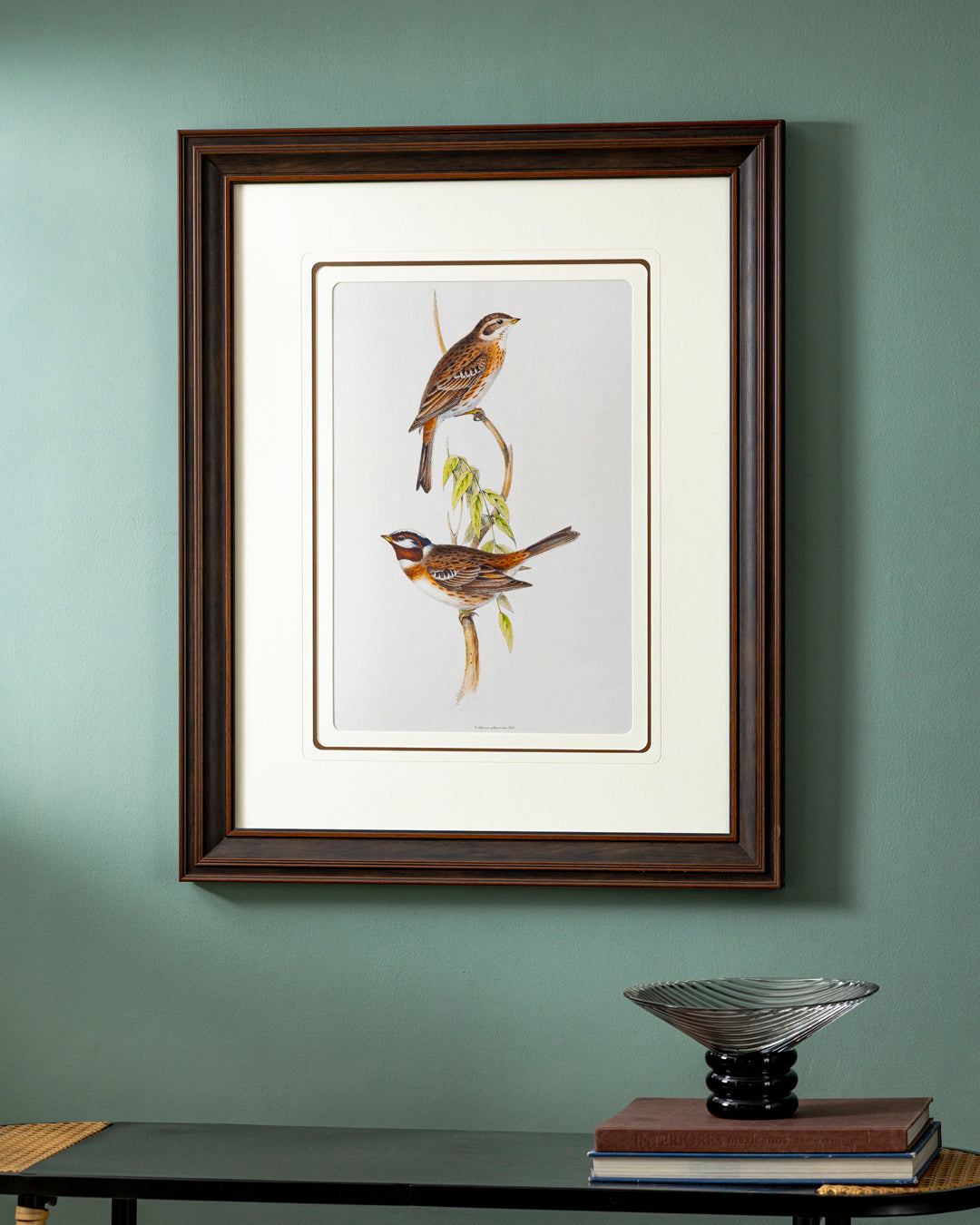 Gould Birds Europe Print "24x30" Inches