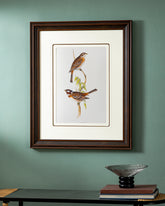 Gould Birds Europe Print "24x30" Inches 
