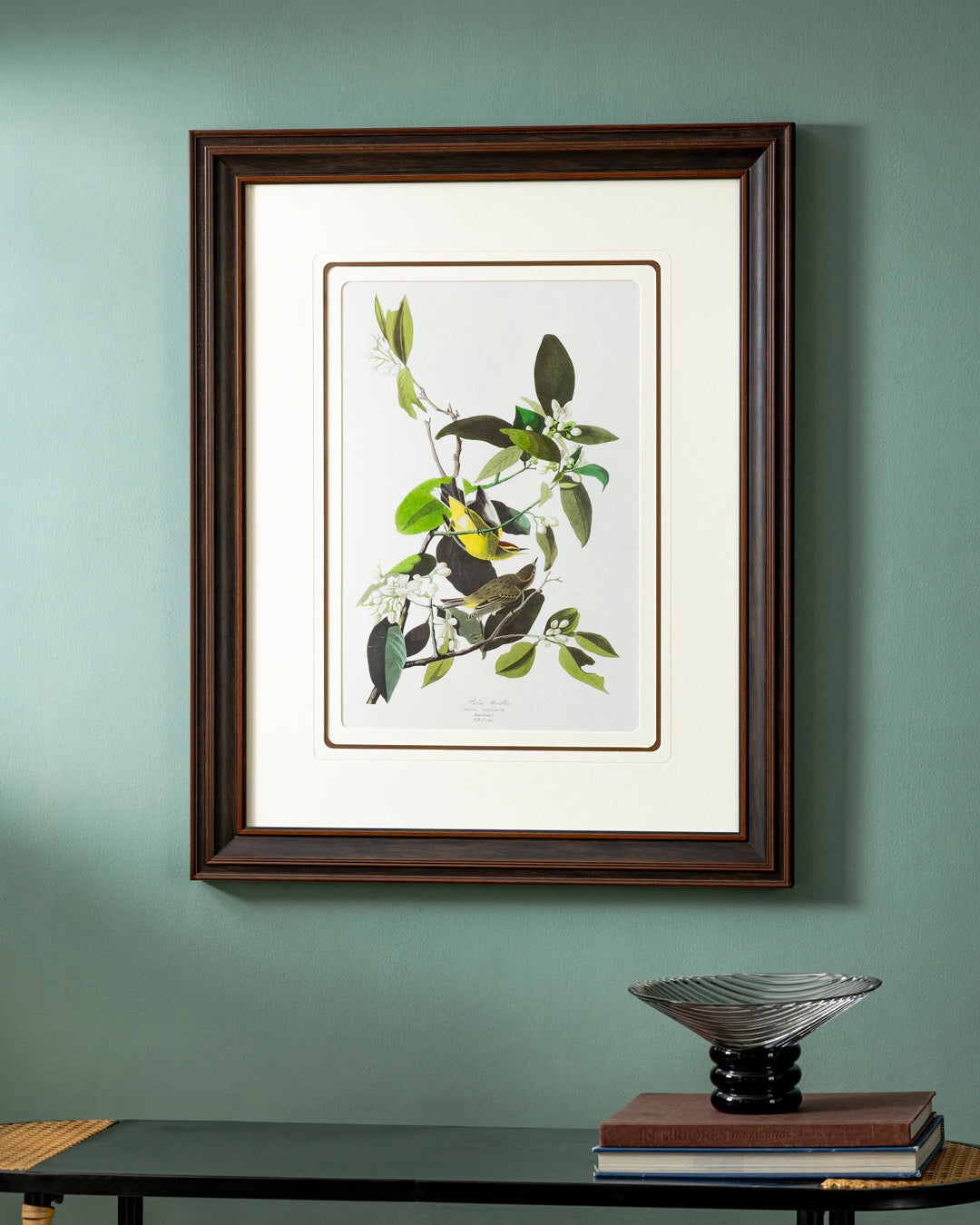 Palm Warbler Bird Print "24x30" Inches