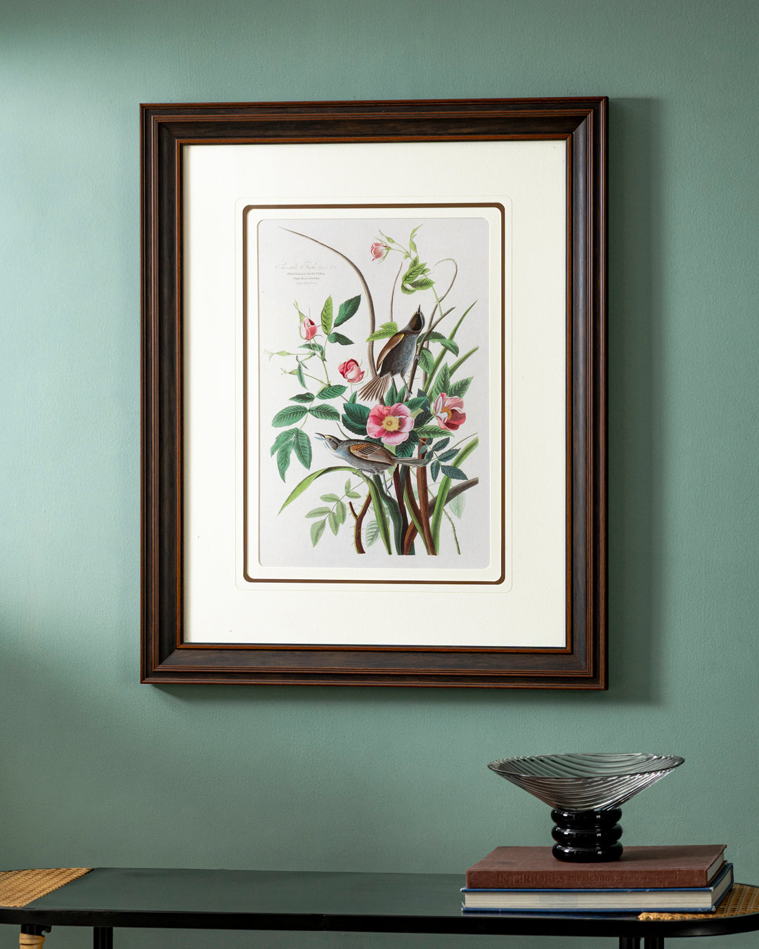 Sea Side Finch Bird Print "24x30" Inches