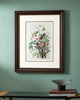 Sea Side Finch Bird Print "24x30" Inches 