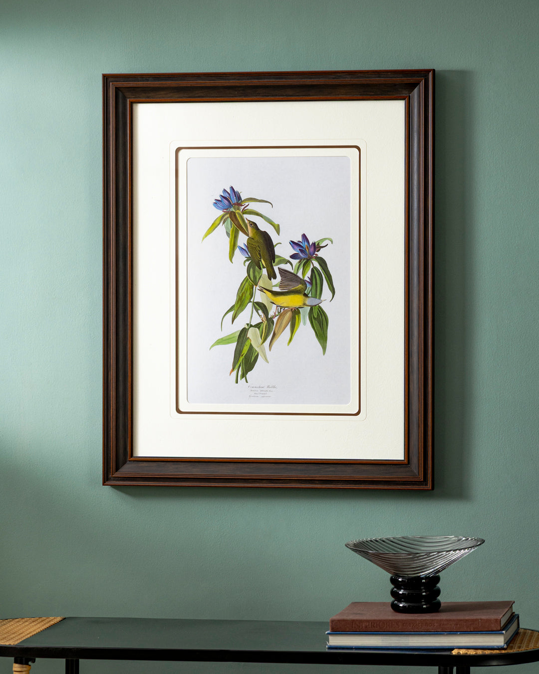 Connecticut Warbler Bird Print "24x30" Inches