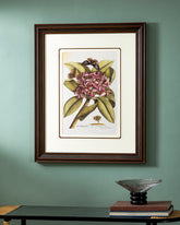 Plumeria Print "24x30" Inches 
