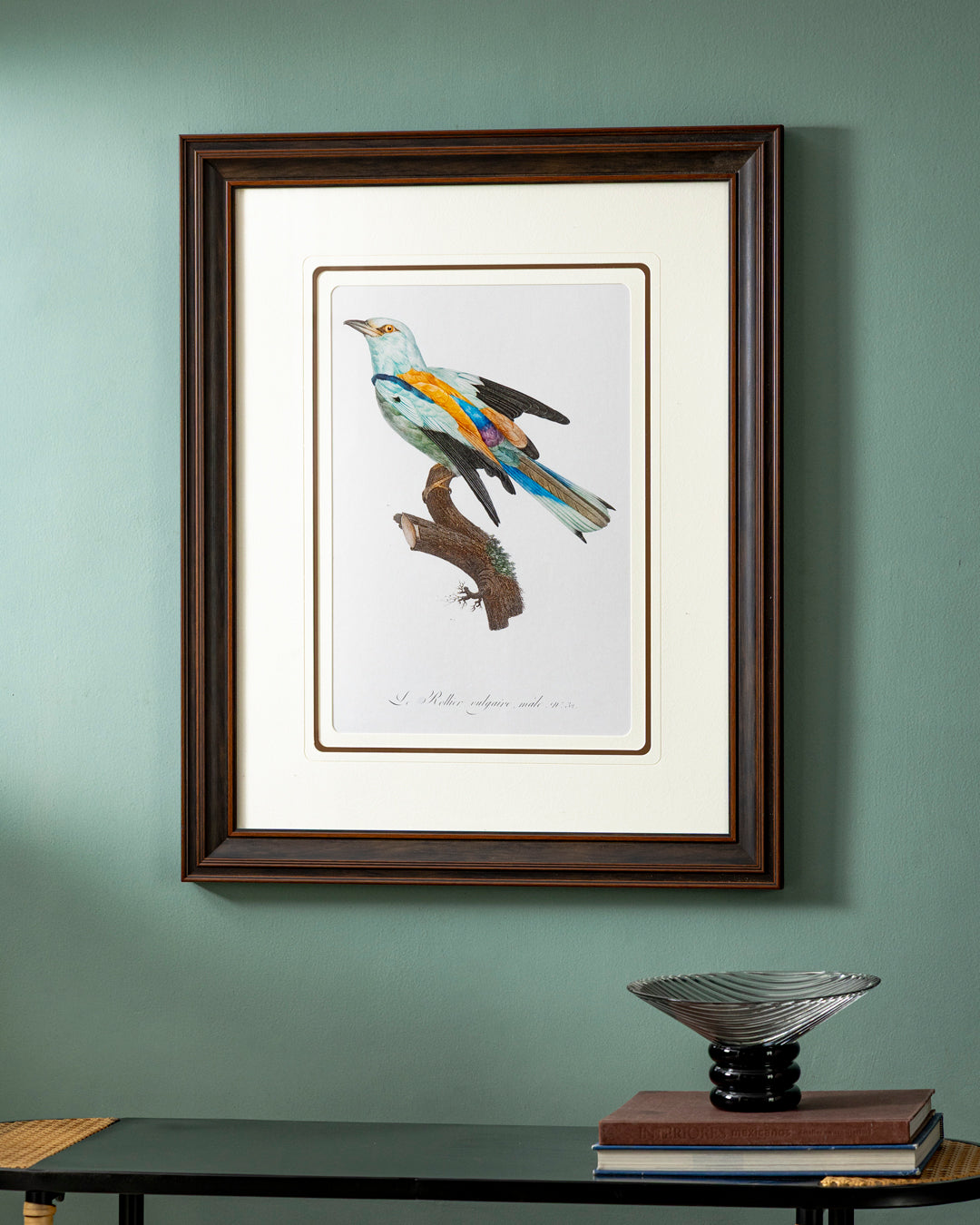 Abyssinian roller Bird Print "24x30" Inches 