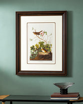 Lincoln Finch Bird Print "24x30" Inches 