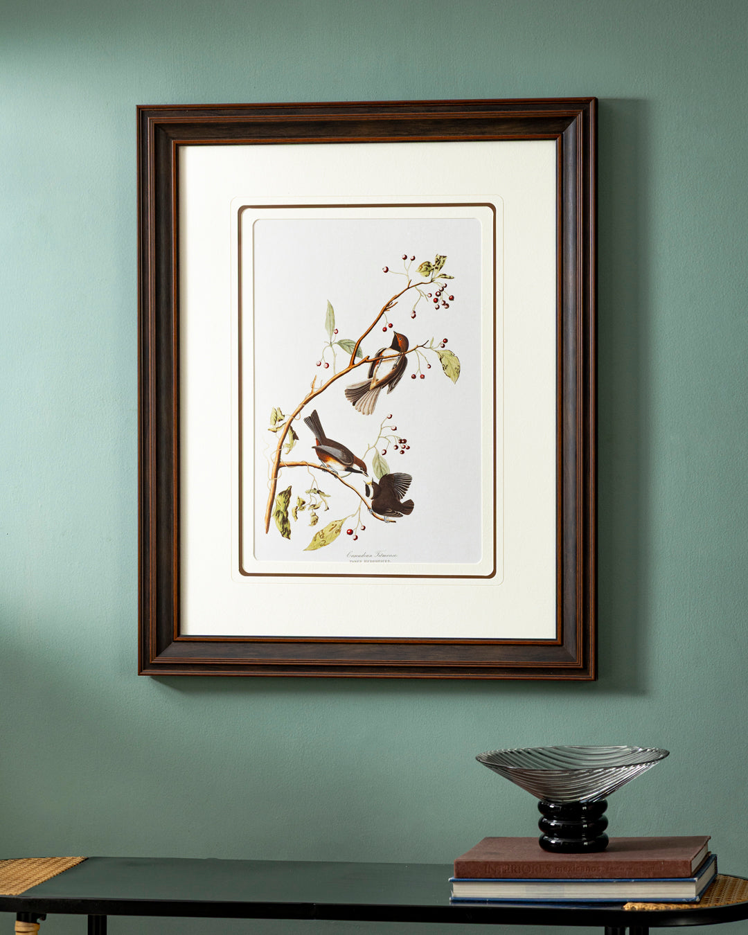 Canadian Titmouse Bird Print "24x30" Inches