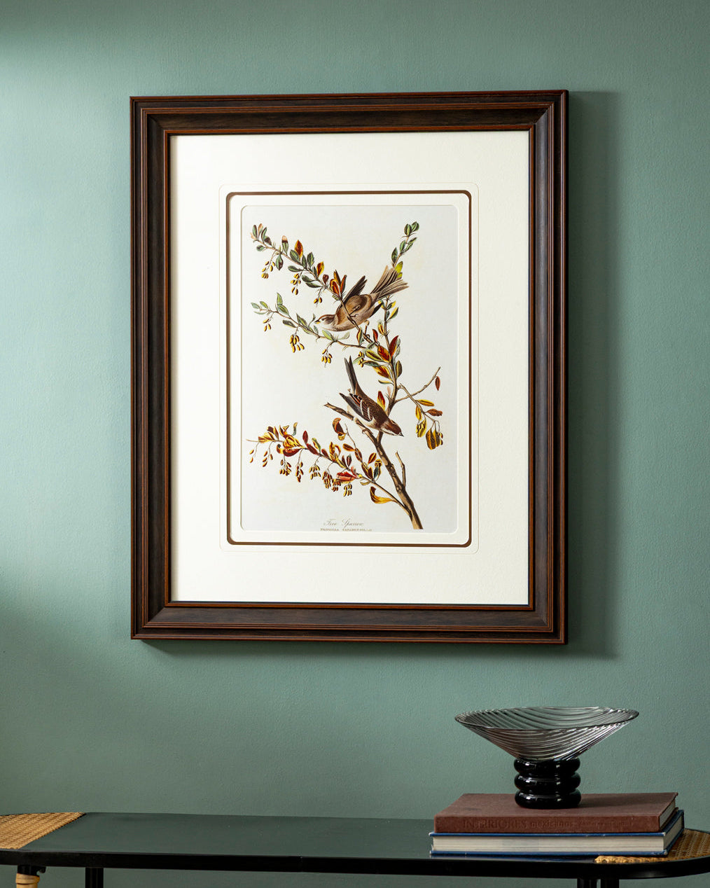 Tree Sparrow Bird Print "24x30" Inches