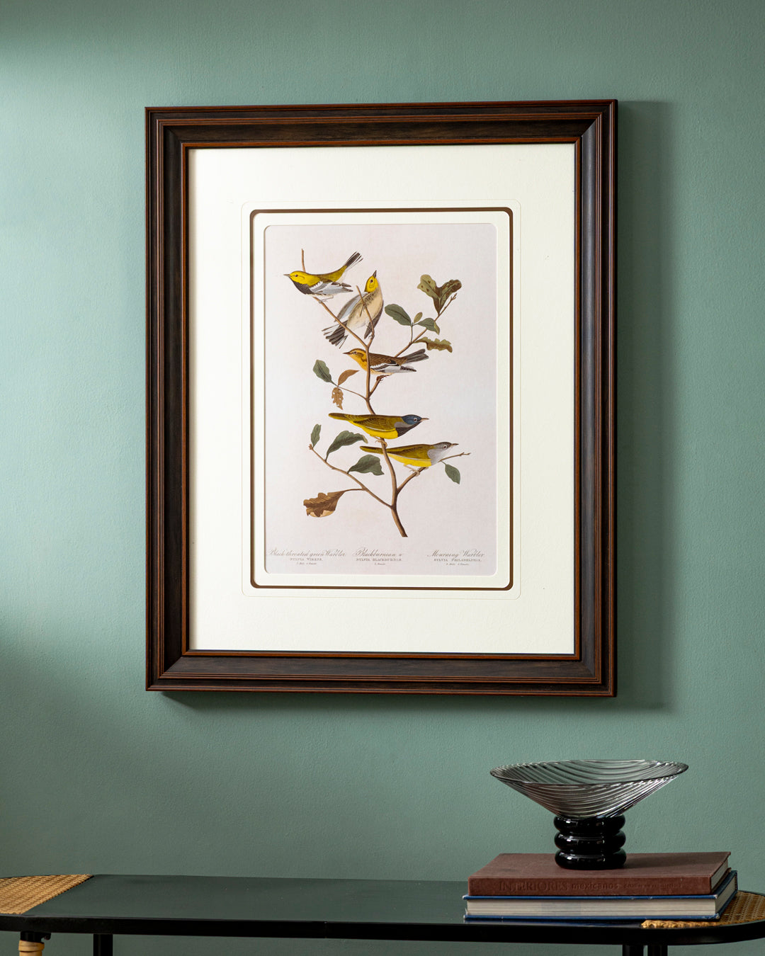 Mourning Warbler Birds Print "24x30" Inches