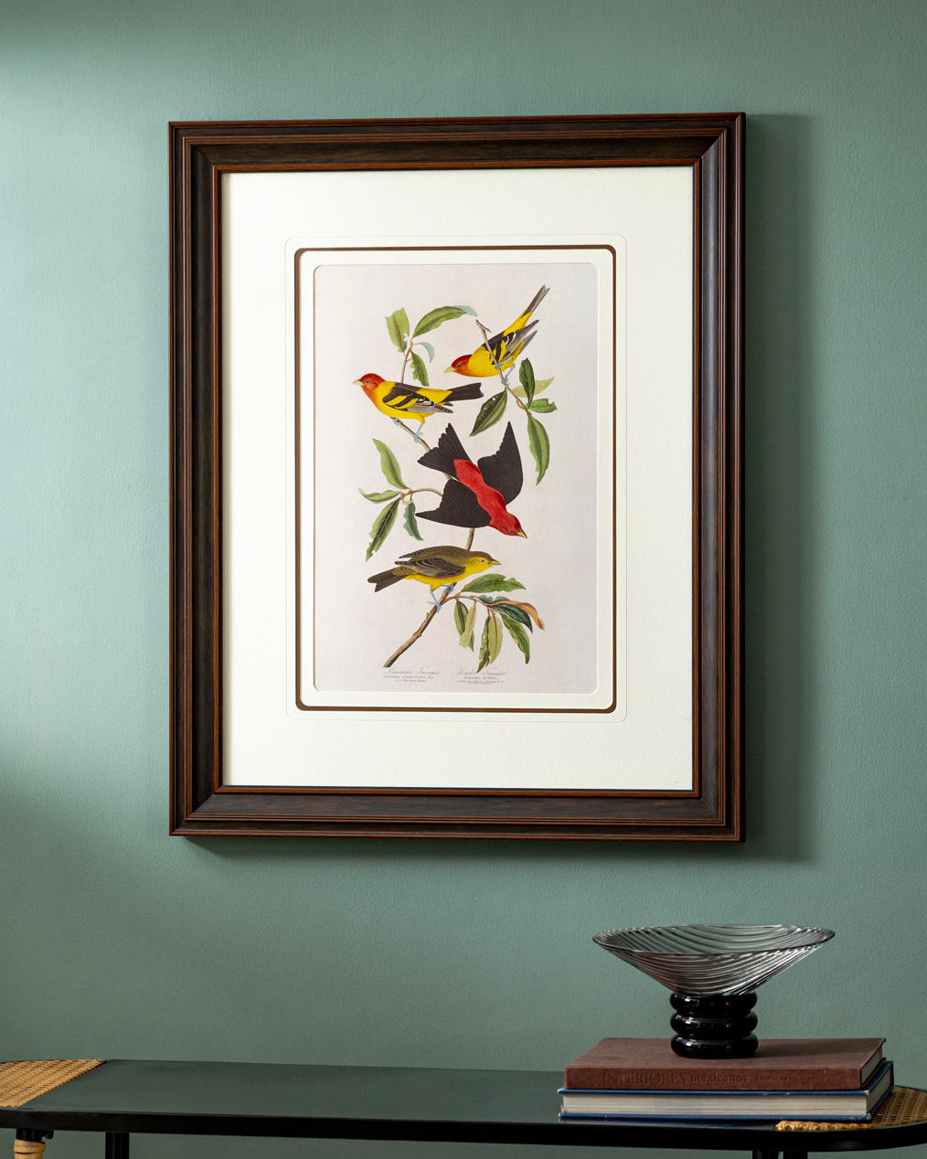Louisiana Tanager & Scarlet Tanager Bird Print "24x30" Inches