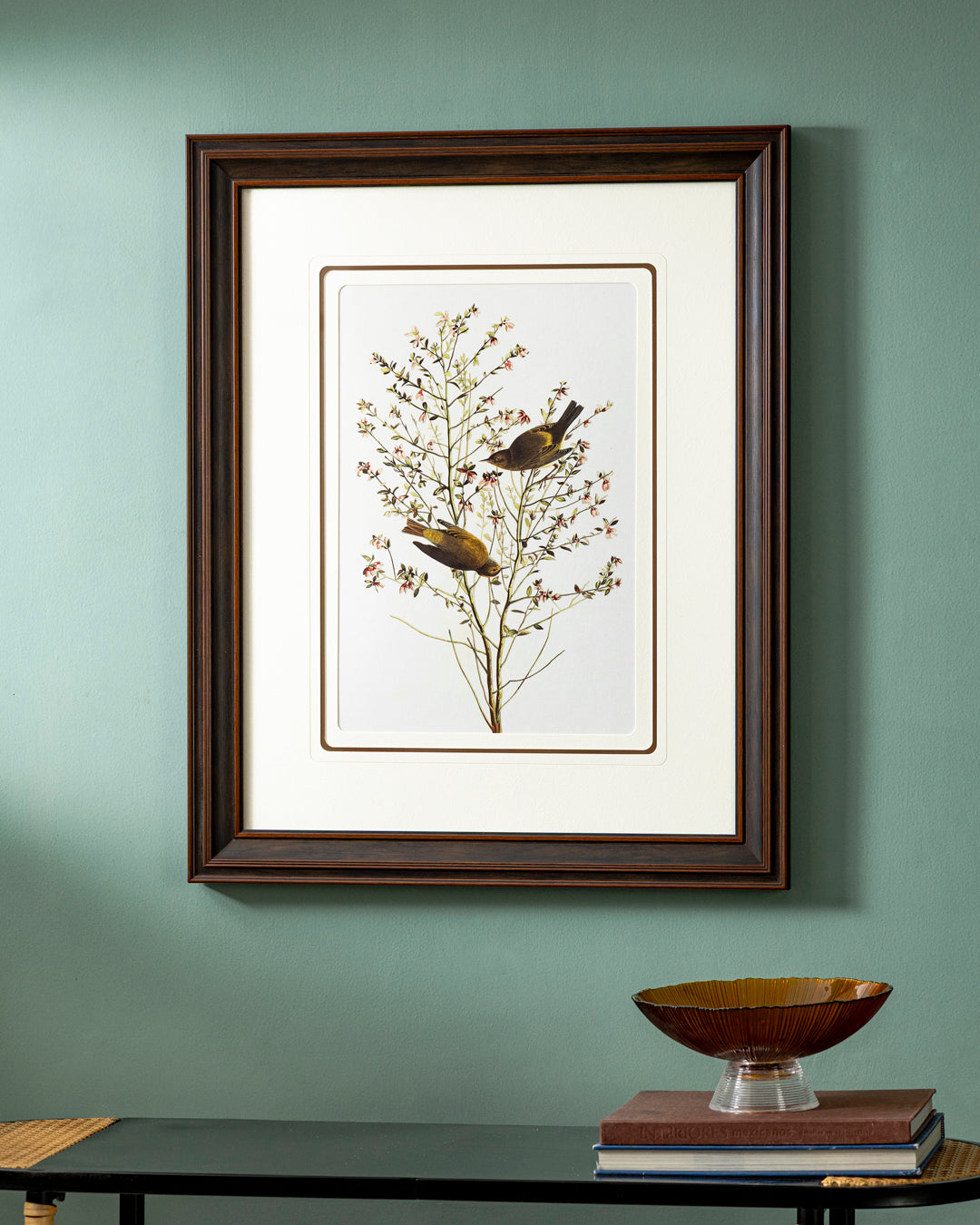 Orange Crowned Warbler Bird Print "24x30" Inches 