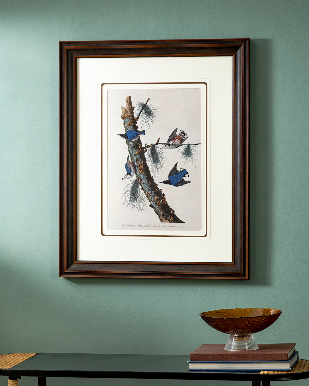Capped Nuthatch Bird Print "24x30" Inches