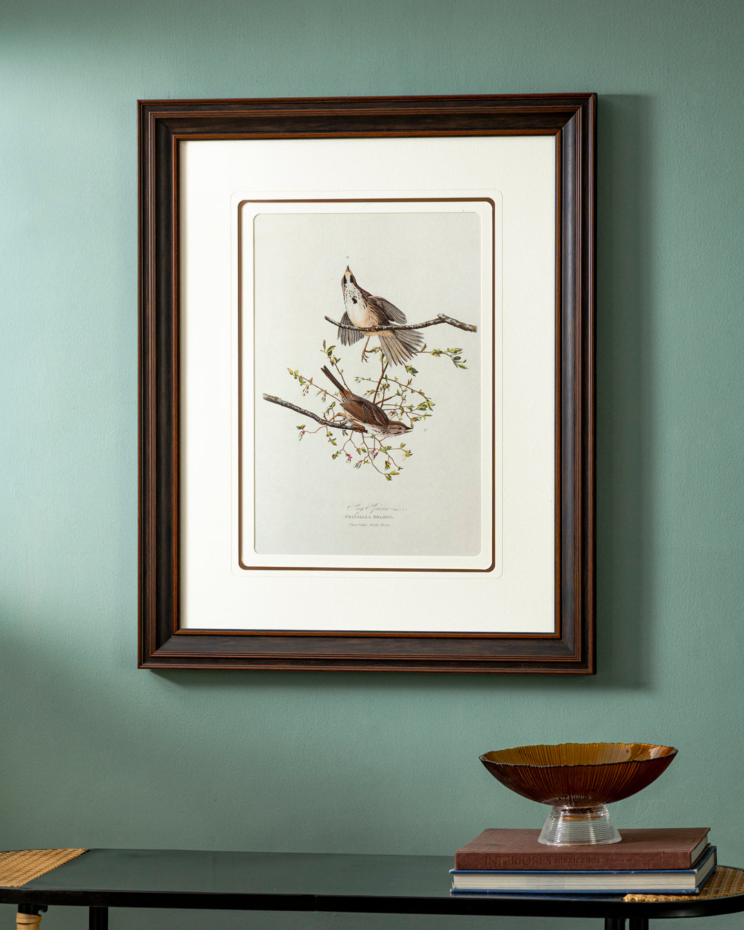 Gould Birds Europe Print "24x30" Inches