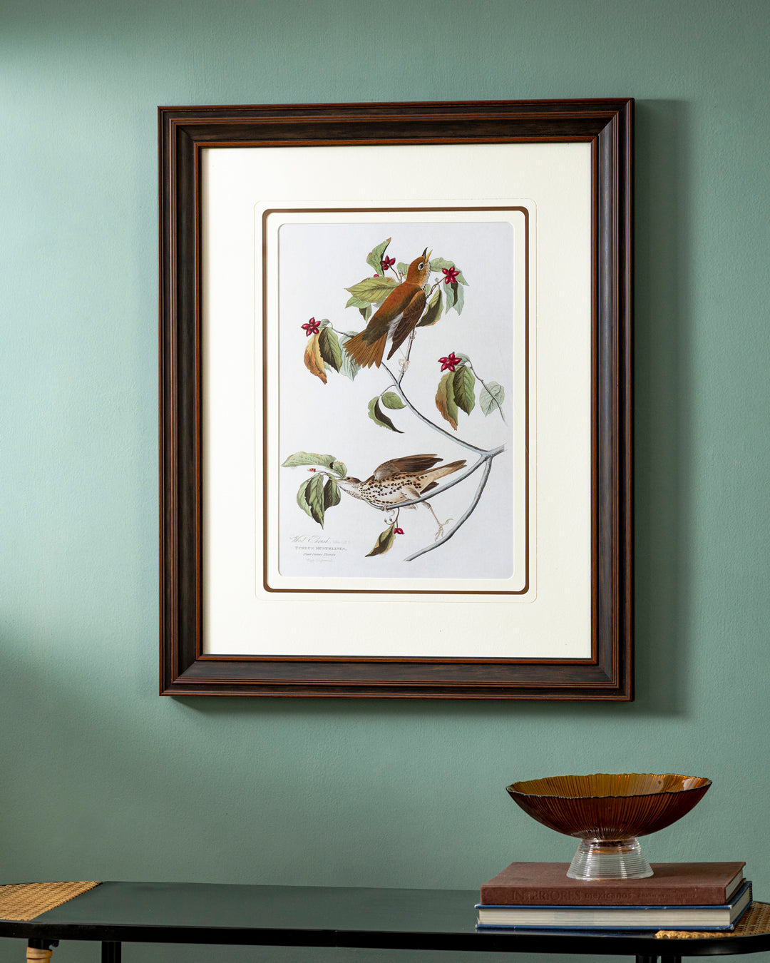 Wood Thrush Bird Print "24x30" Inches