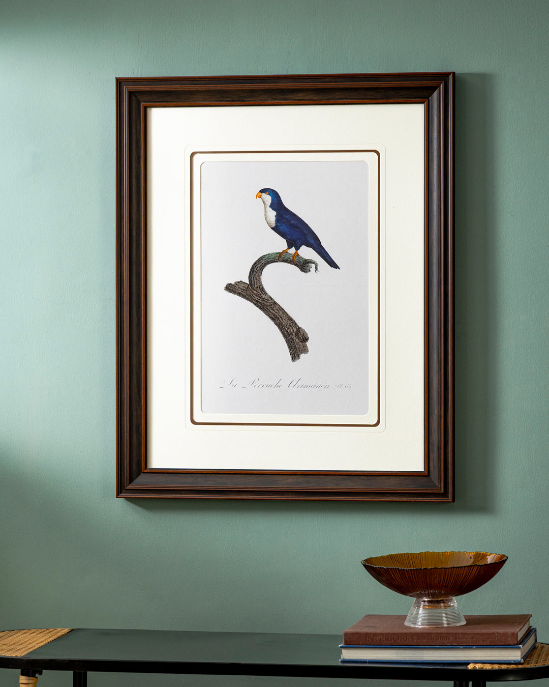 Arimanon Parakeet Bird Print "24x30" Inches