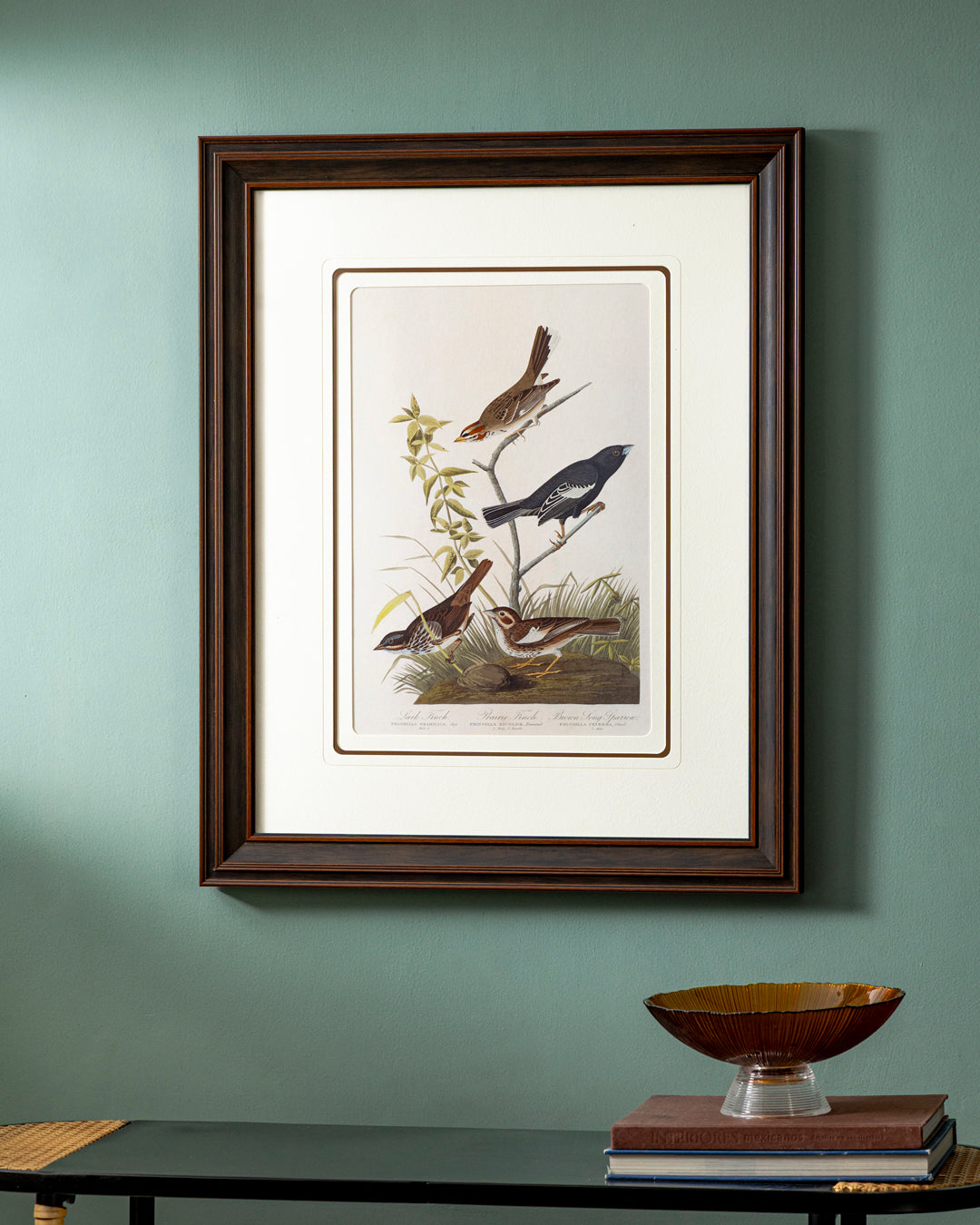 Brown Song Sparrow Birds Print "24x30" Inches 