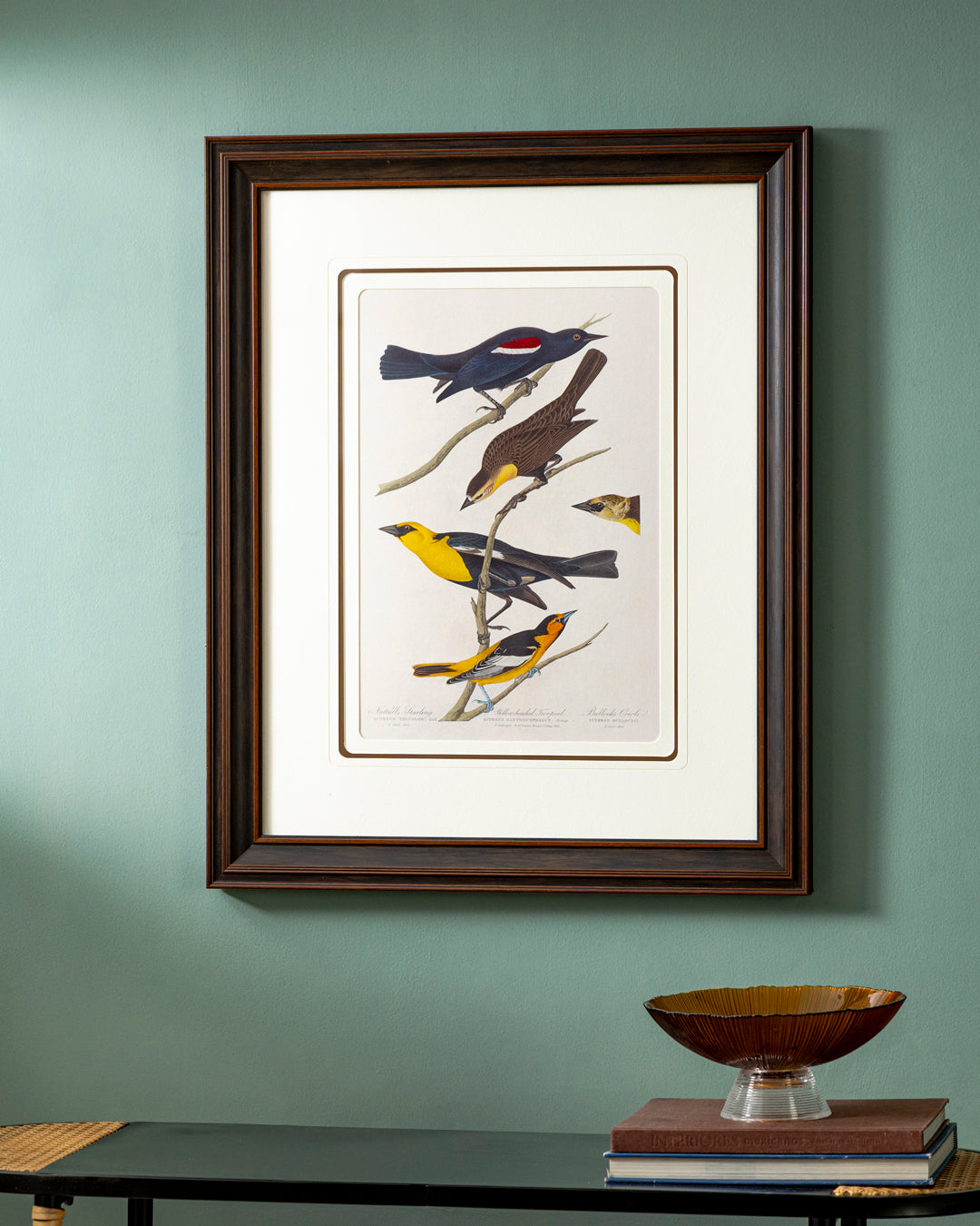 Yellow-Headed Troopial And Bullock'S Oriole Bird Print "24x30" Inches 