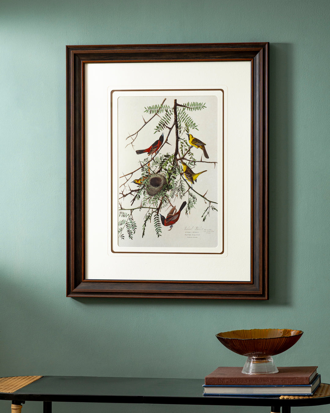 Orchard Oriole Bird Print "24x30" Inches