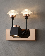 Royal Crown Mirror Light- 1 Light