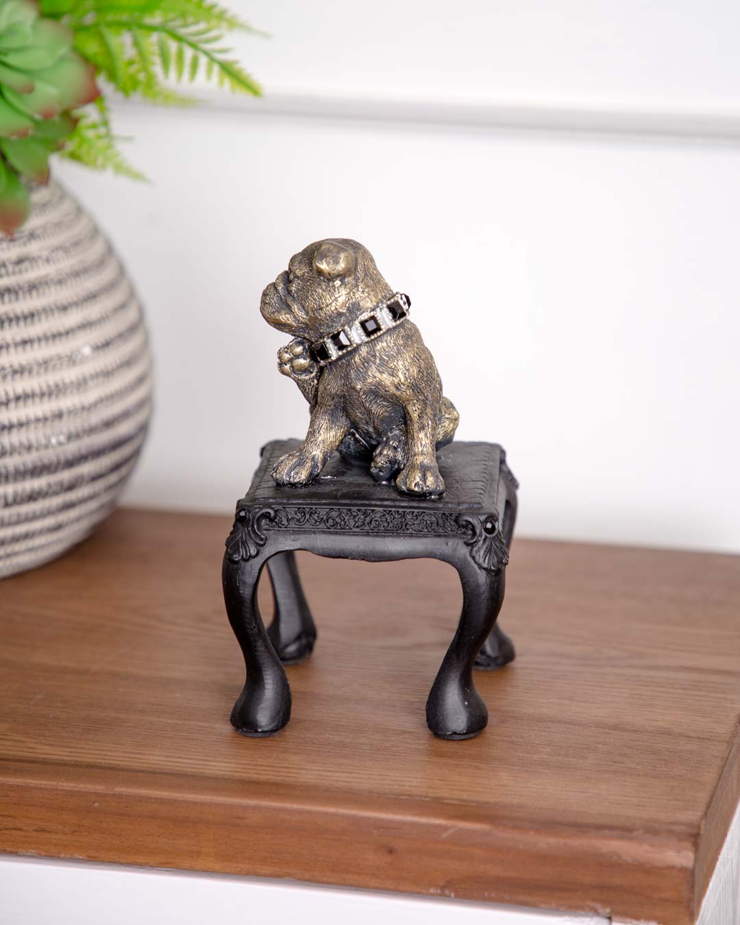 Adorable Pug on Chair