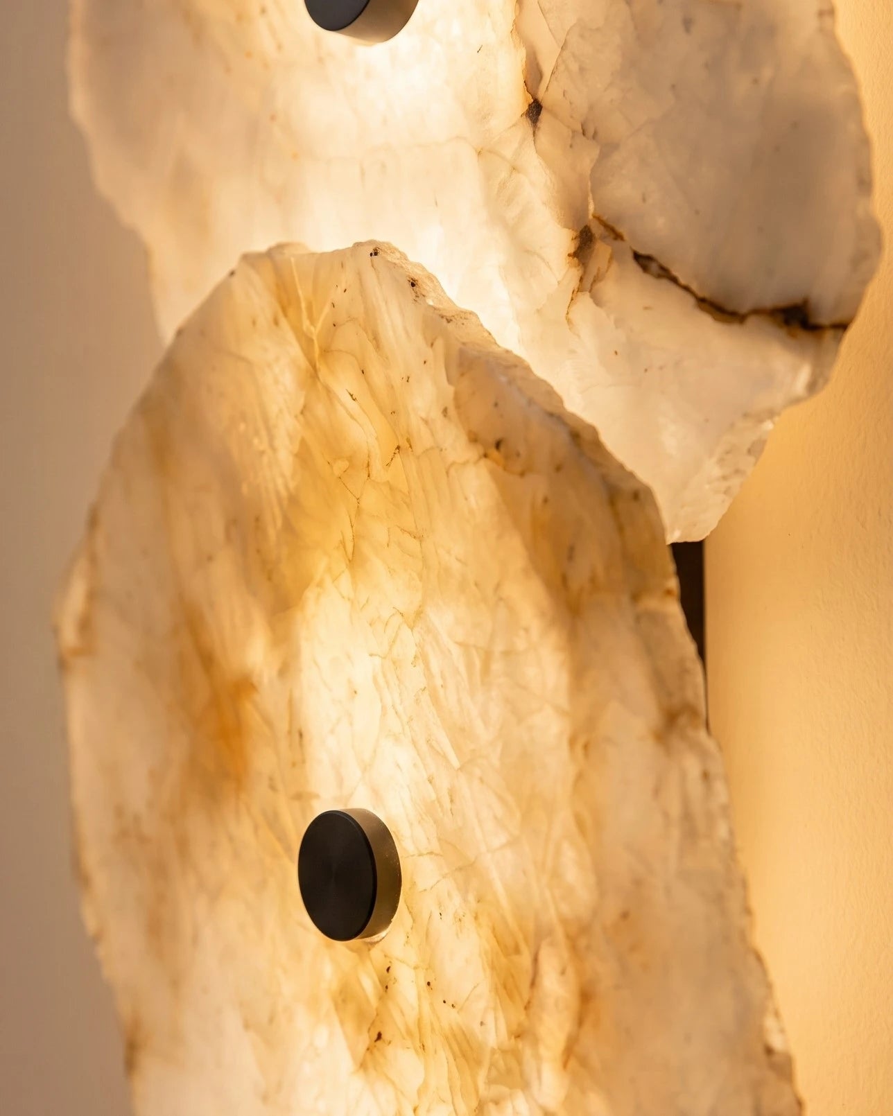 Luna Petal Wall Light 