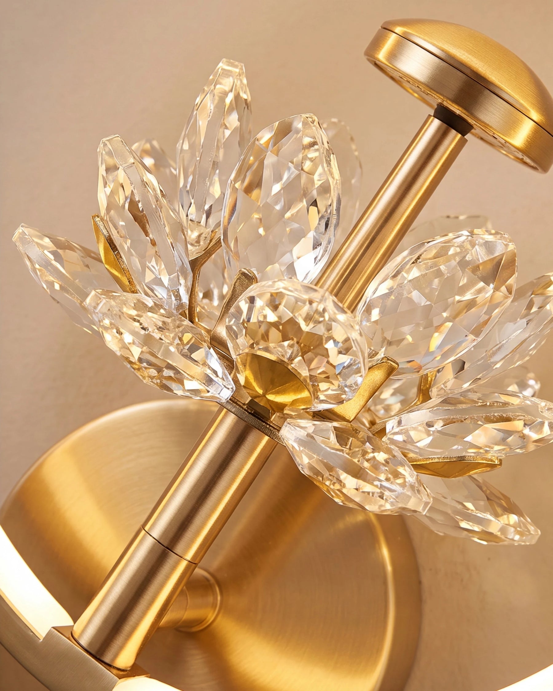 Halo Bloom Wall Light 
