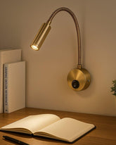 Elegant Gold Gooseneck Wall Light 