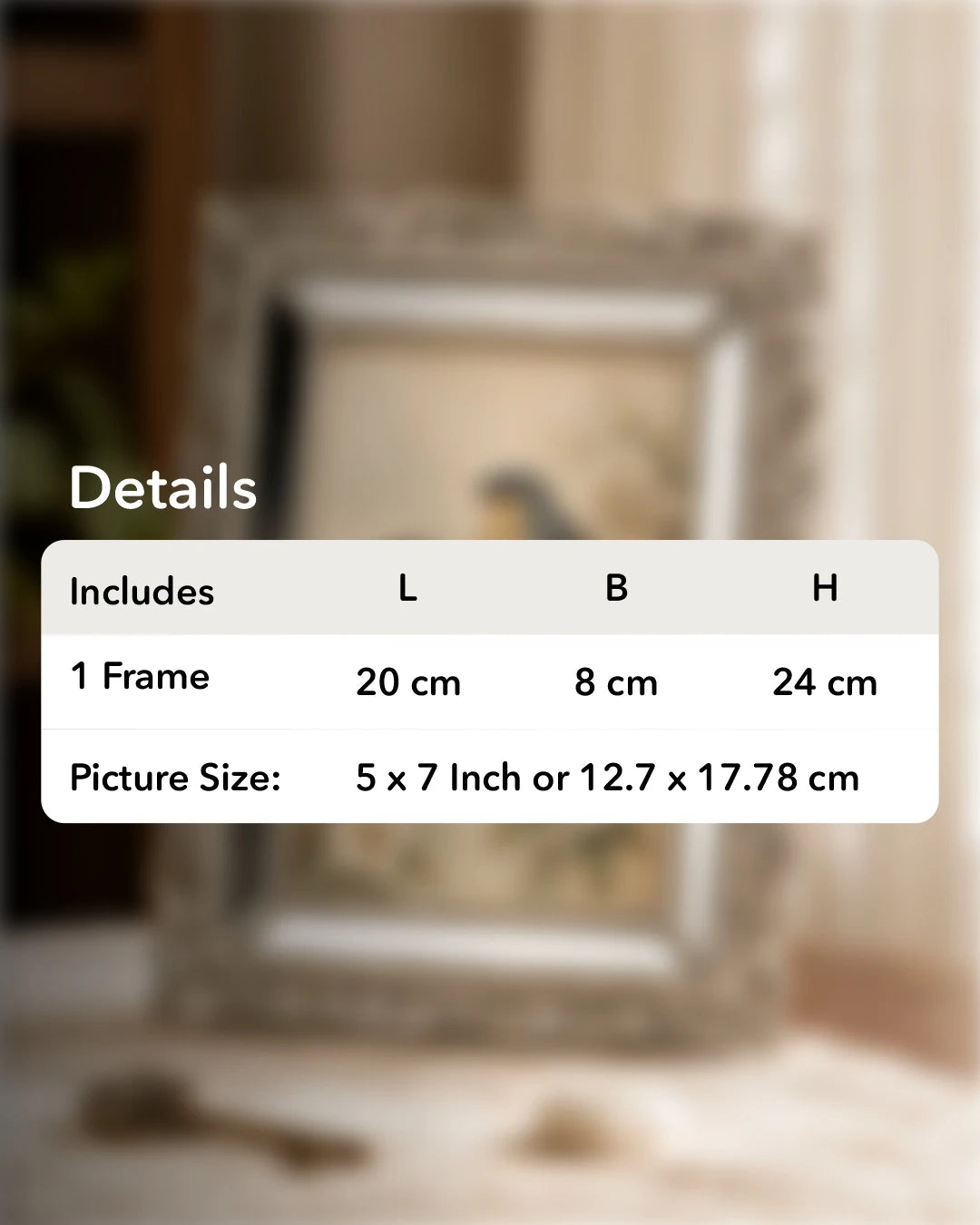 Rosehill Mirrored Photo Frame - Silver 