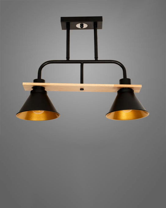Industrial Duo Pendant Light 