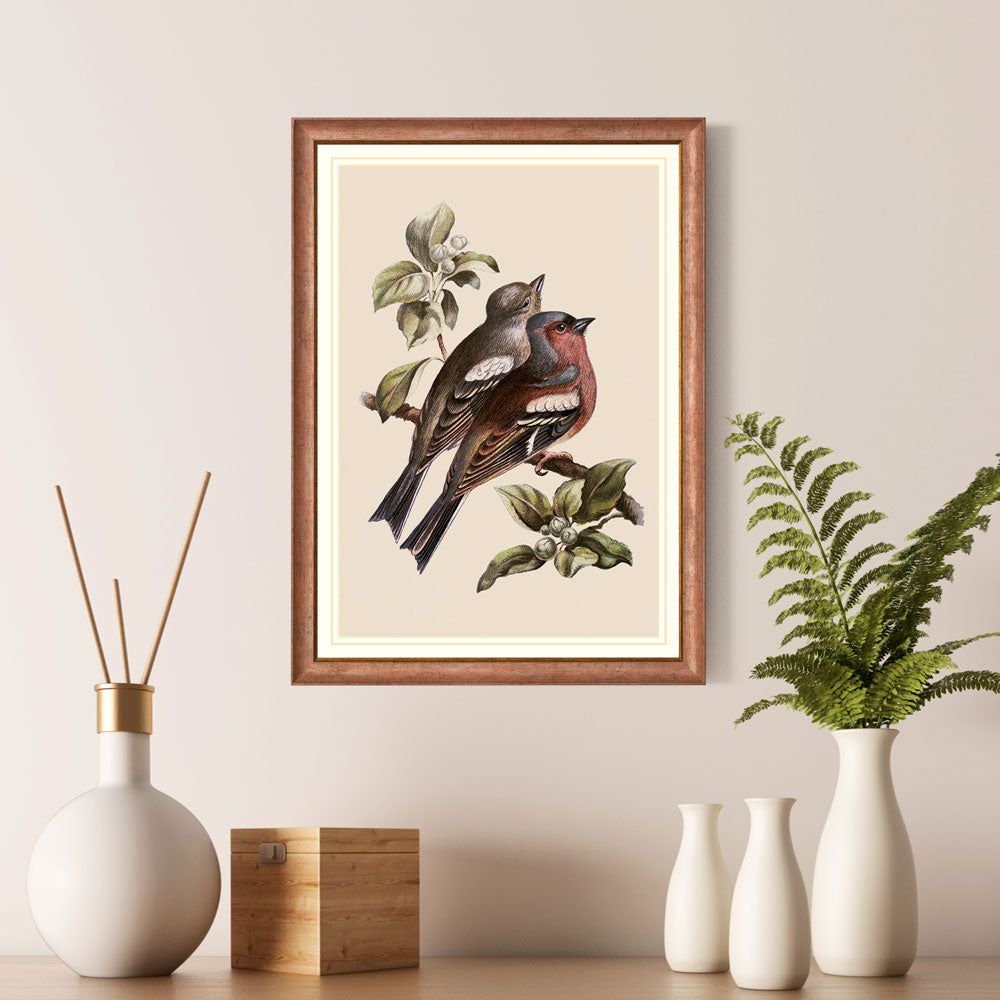 Familiar wild Birds 2 Print 