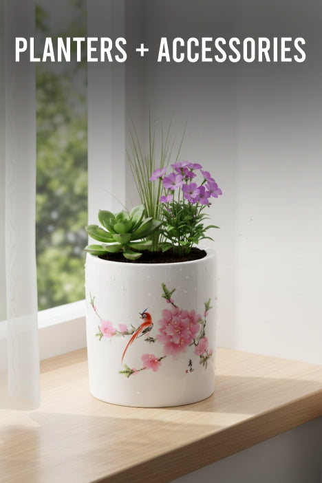 Planters + Accessories