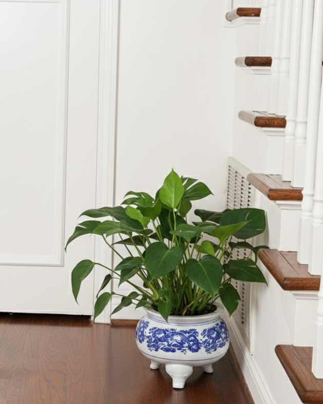 Blue & White Dragon Motif Tripod Planter - 8" 