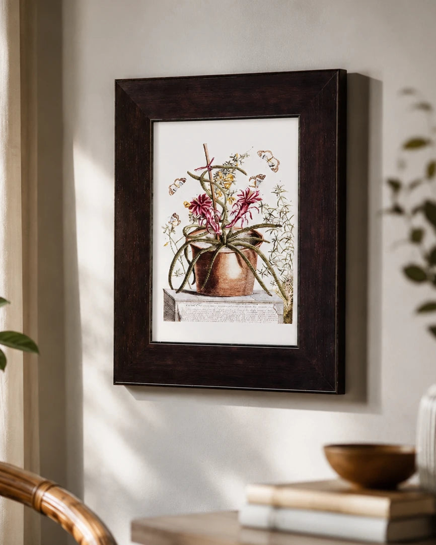 Cereus Tab 