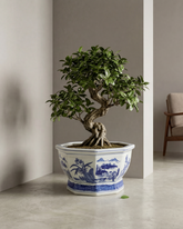 Imperial Hexa Crest Planter - Medium 