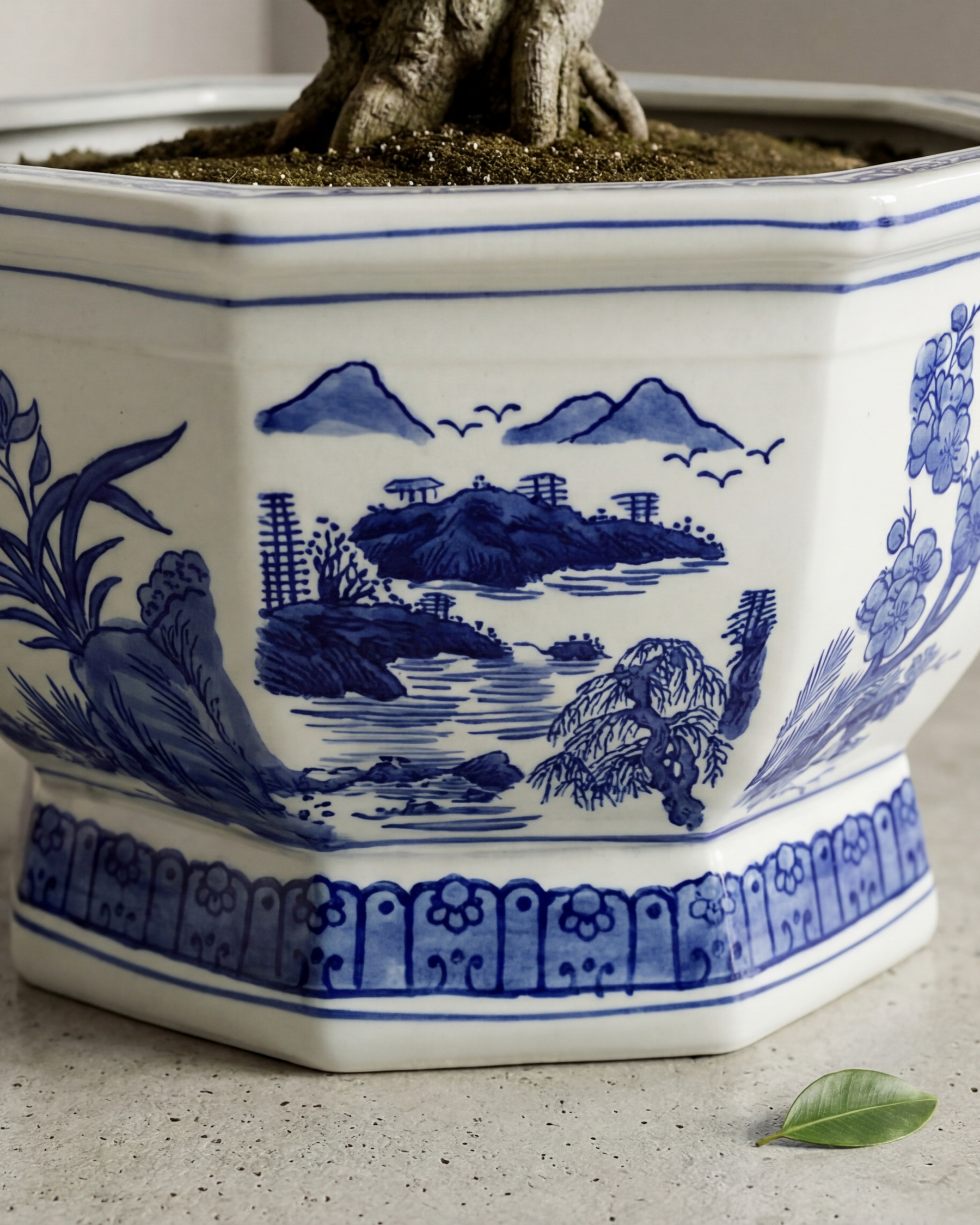 Imperial Hexa Crest Planter - Medium 
