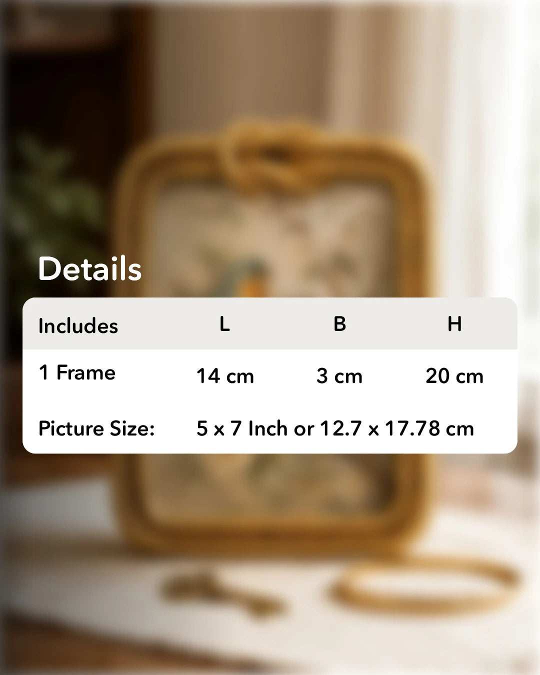 Vintage Rope Border Photo Frame 