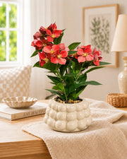 Azalea Artificial Flower Arrangement - Red