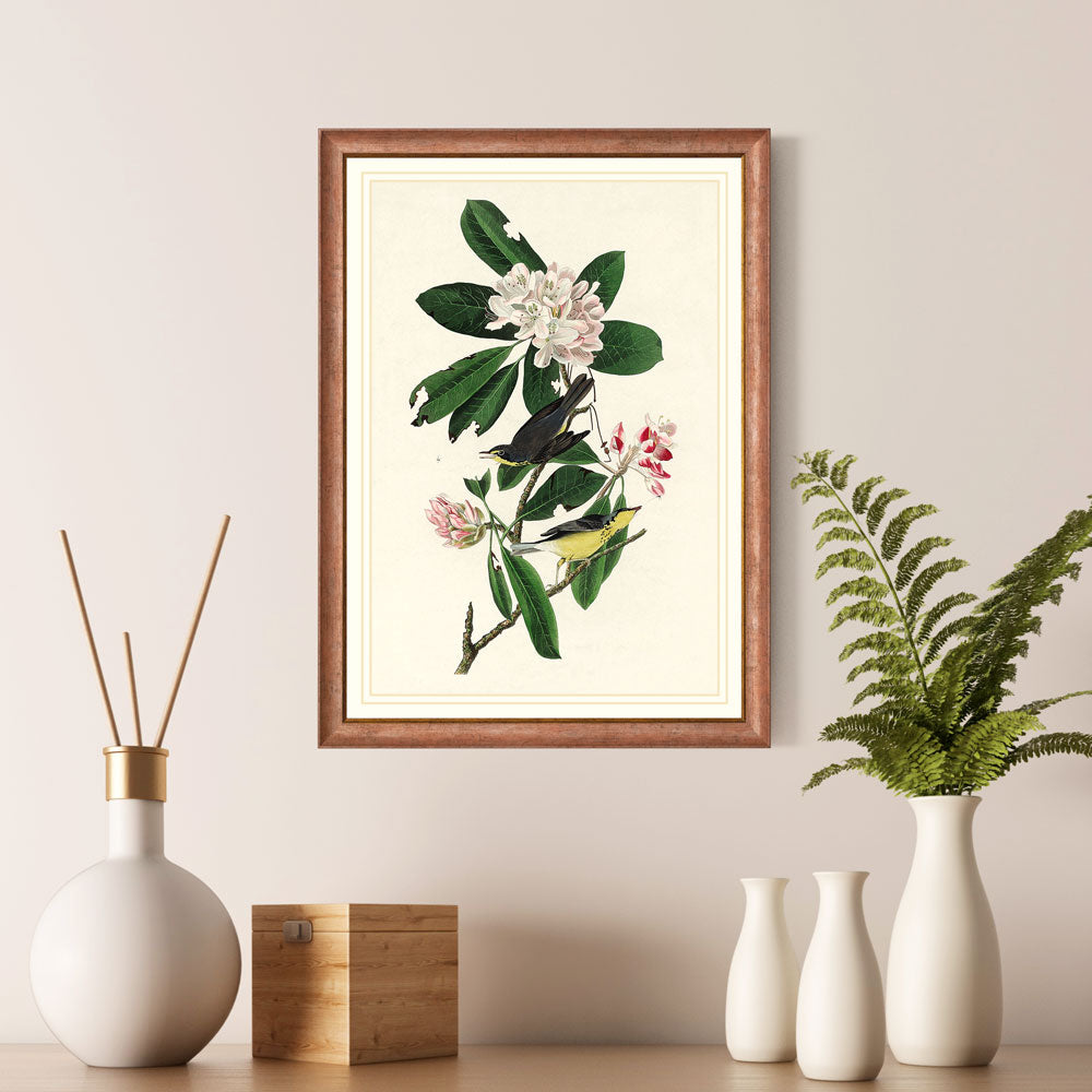Canada Warbler Bird Print 