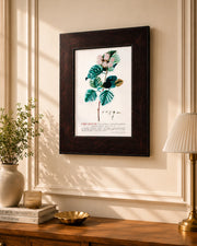 Rose Leaf Study - Framed Scientific Floral Print