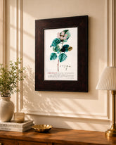 Rose Leaf Study - Framed Scientific Floral Print 