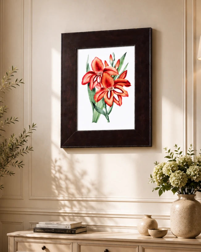 Gladiolus Flower 