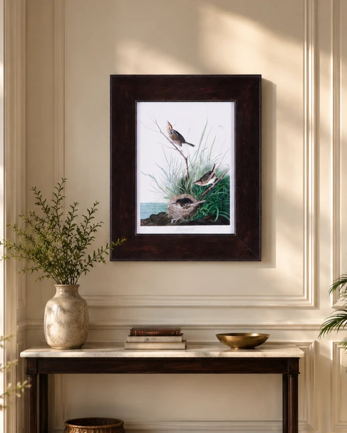 Sharp Tailed Finch Bird