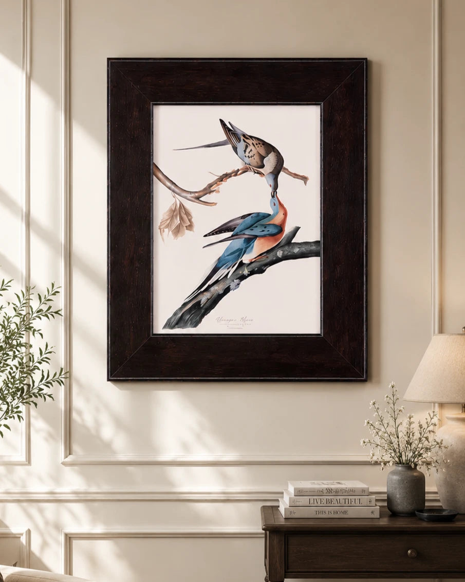Passenger Pigeon Bird